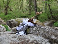 IMG_8978.JPG